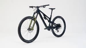 Bird MTB